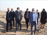 ضرورت اصلاح فوری کانال انتقال فاضلاب مجاور زمین های کشاورزی کمربندی الغدیر/محصولات کشاورزی آبیاری شده بافاضلاب با هماهنگی مقام محترم قضائی امحاشود