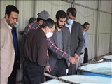 بازدید فرماندار اسلامشهر از سه واحد کشاورزی، آبزی پروری و دامداری