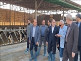 بازدید وزیر جهاد کشاورزی از شرکت کشاورزی و دامپروری بهدام در اسلامشهر